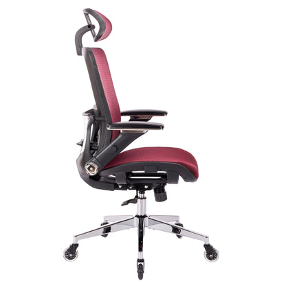 RED Ergonomic Mesh Office Chair, High Back